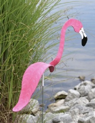 dancing flamingos